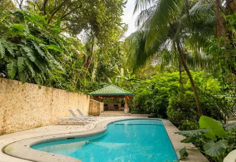 Tropical palms and a garden pool on the Santa Teresa guide cover