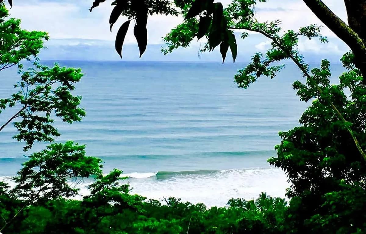 Ocean and beach seen through tropical trees — Villa Dos Vistas