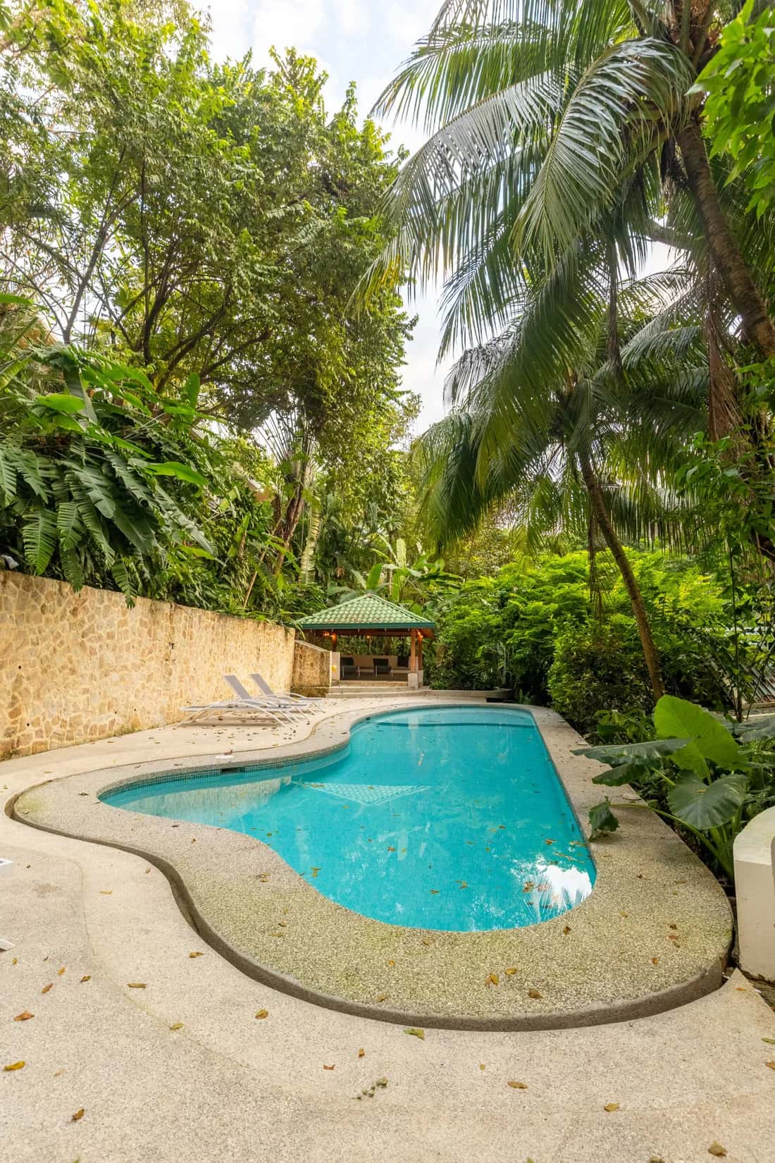Piscina de formas curvas rodeada de palmeras y vegetación tropical