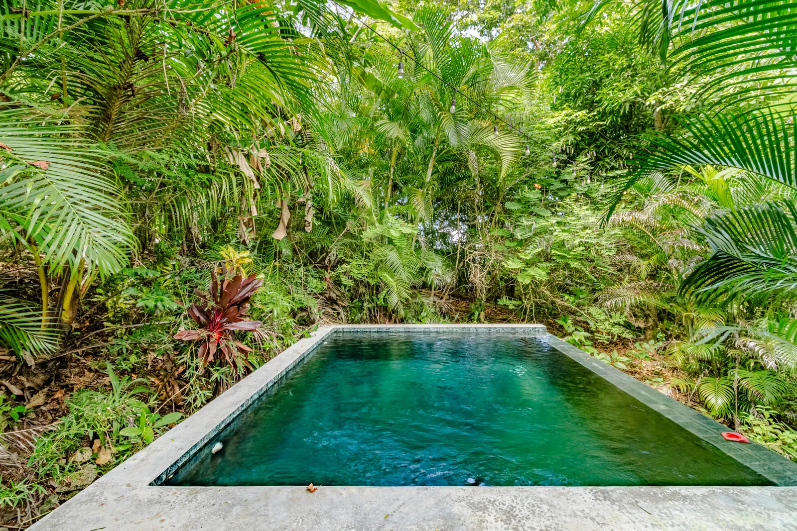 Casa Mapachita - property photo 3