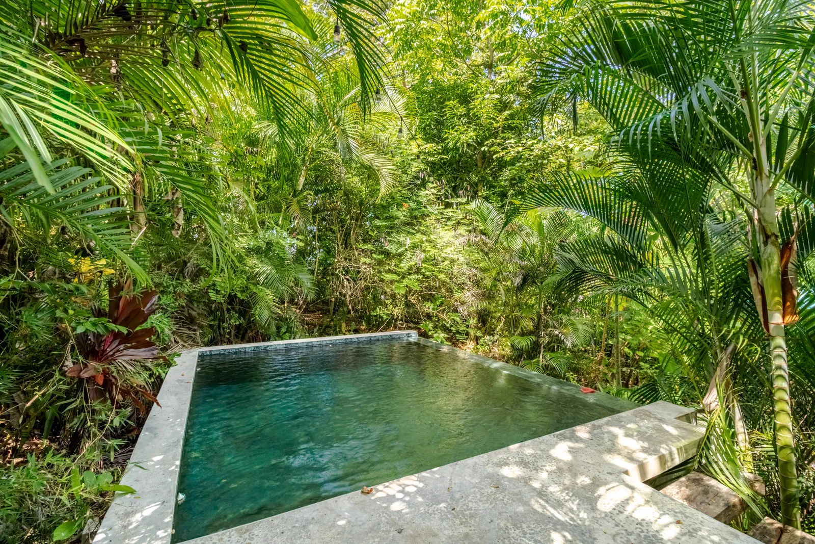 Casa Mapachita - property photo 12